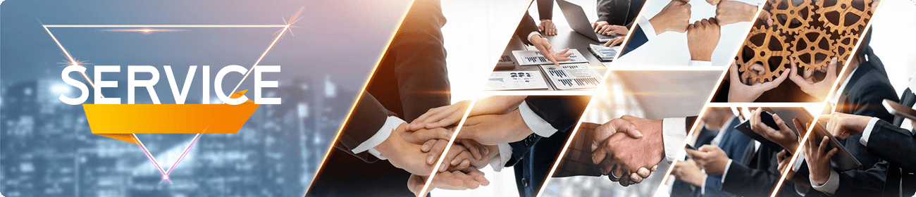 Lĩnh vực hoạt động